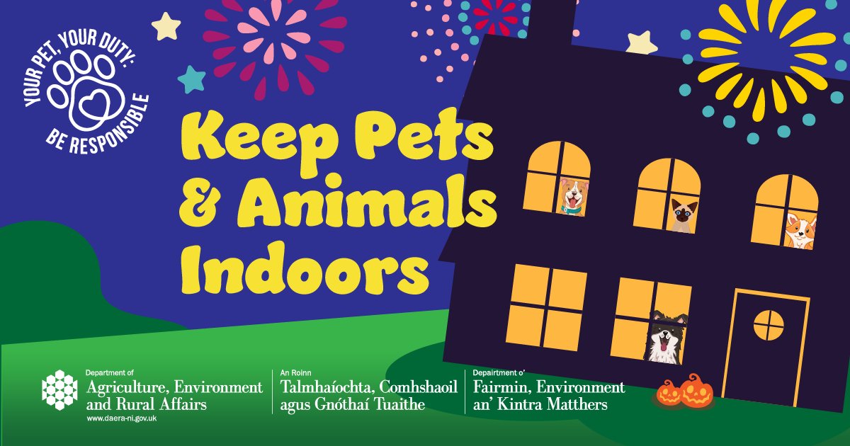 🎃#Halloween can be stressful for dogs. Help keep them safe &amp; stress free
🐶walk before dark
🐶provide safe hiding place
🐶don’t leave them alone in garden
🔗More dogstrust.org.uk/news-events/bl… <a href="/nidirect/">nidirect</a>