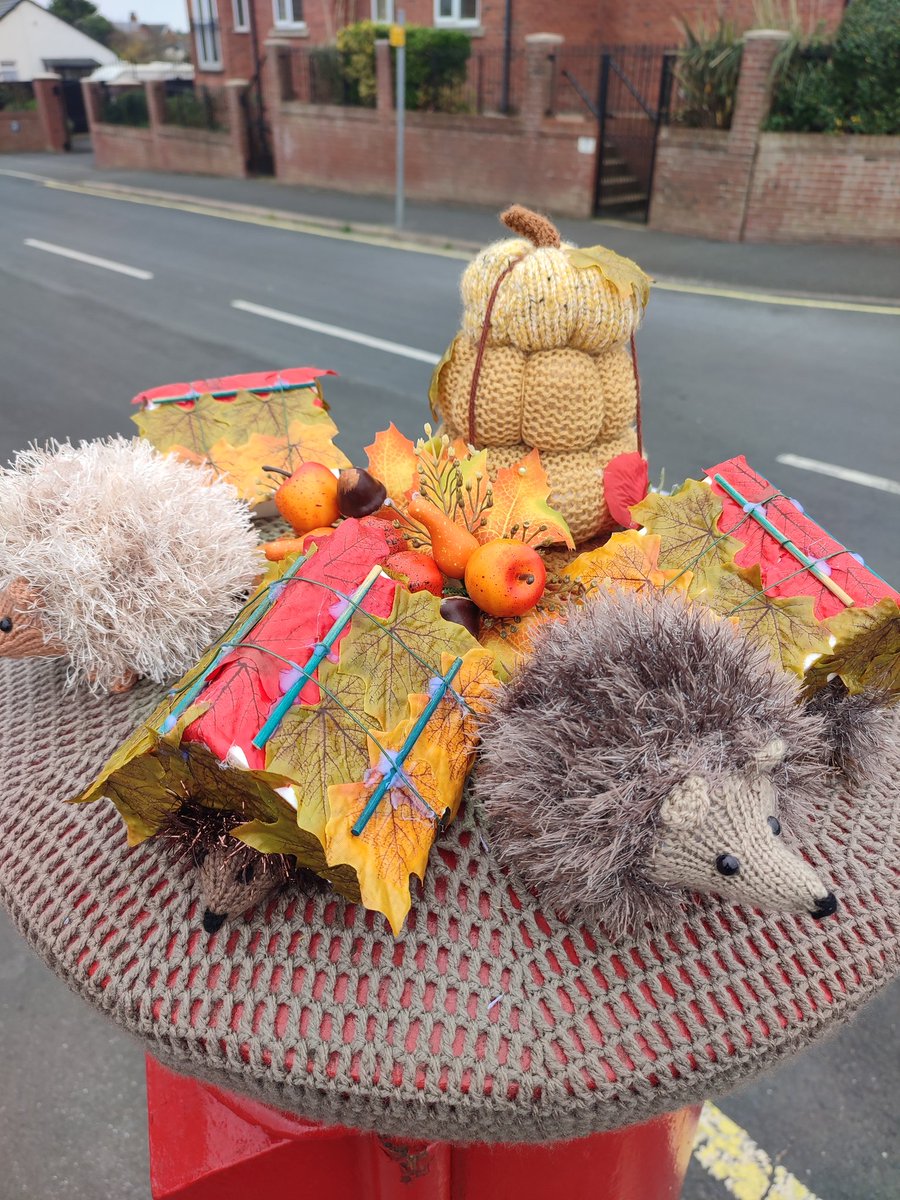 CyprusPictures's tweet photo. Happy #postboxsaturday
yeah, yeah I know it's #wednesday but it feels like #Saturday because today, we've got the first #dayoff following a week of hospital & medical appointments.
#photography #hedgehog #wildlife #postboxtopper #ThisIsLancashire
📍#KnottEnd on Sea, Over Wyre https://t.co/OZWHJRxzNK