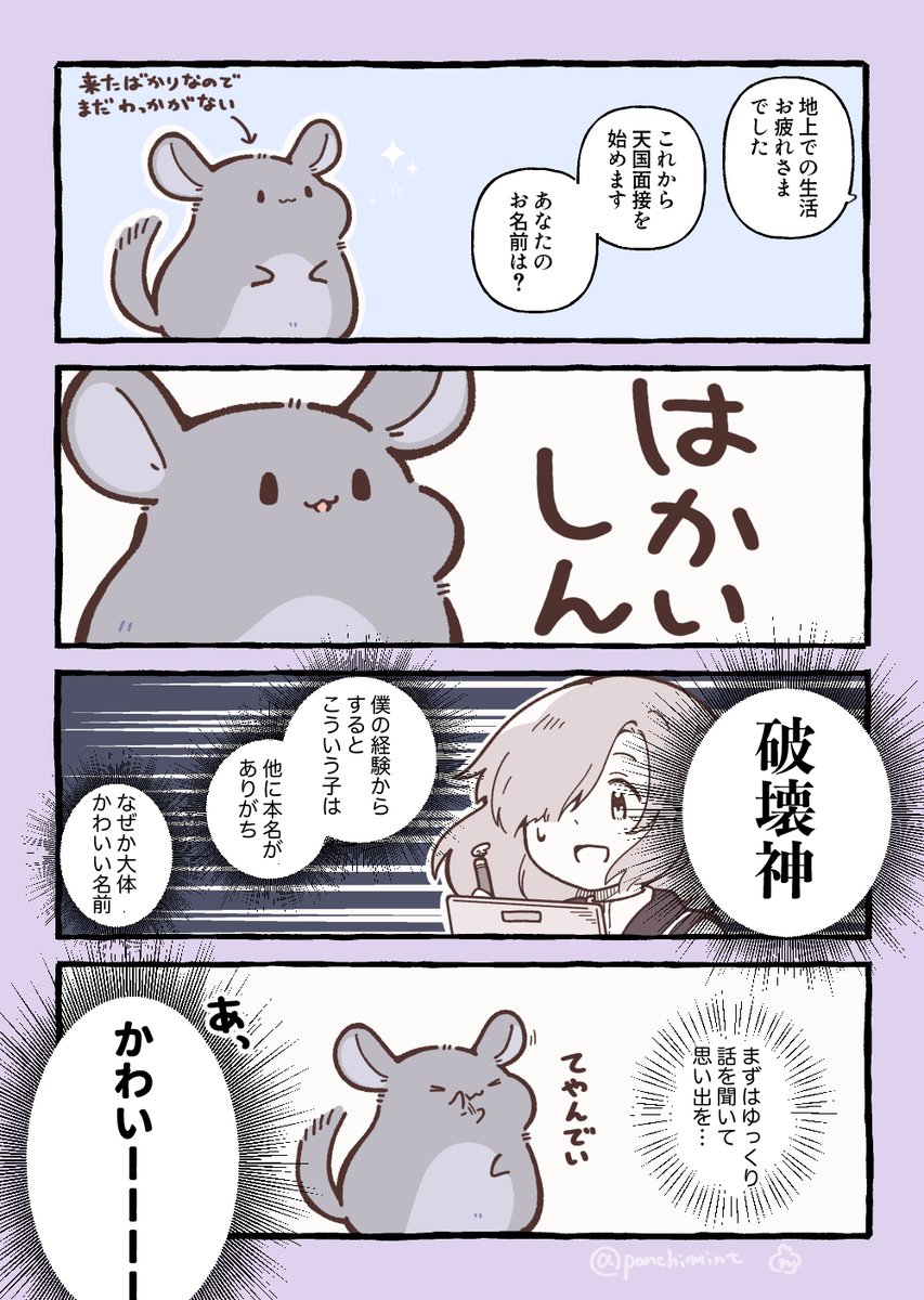 ひまちゃんと天国の面接　とあるチンチラと天国の面接