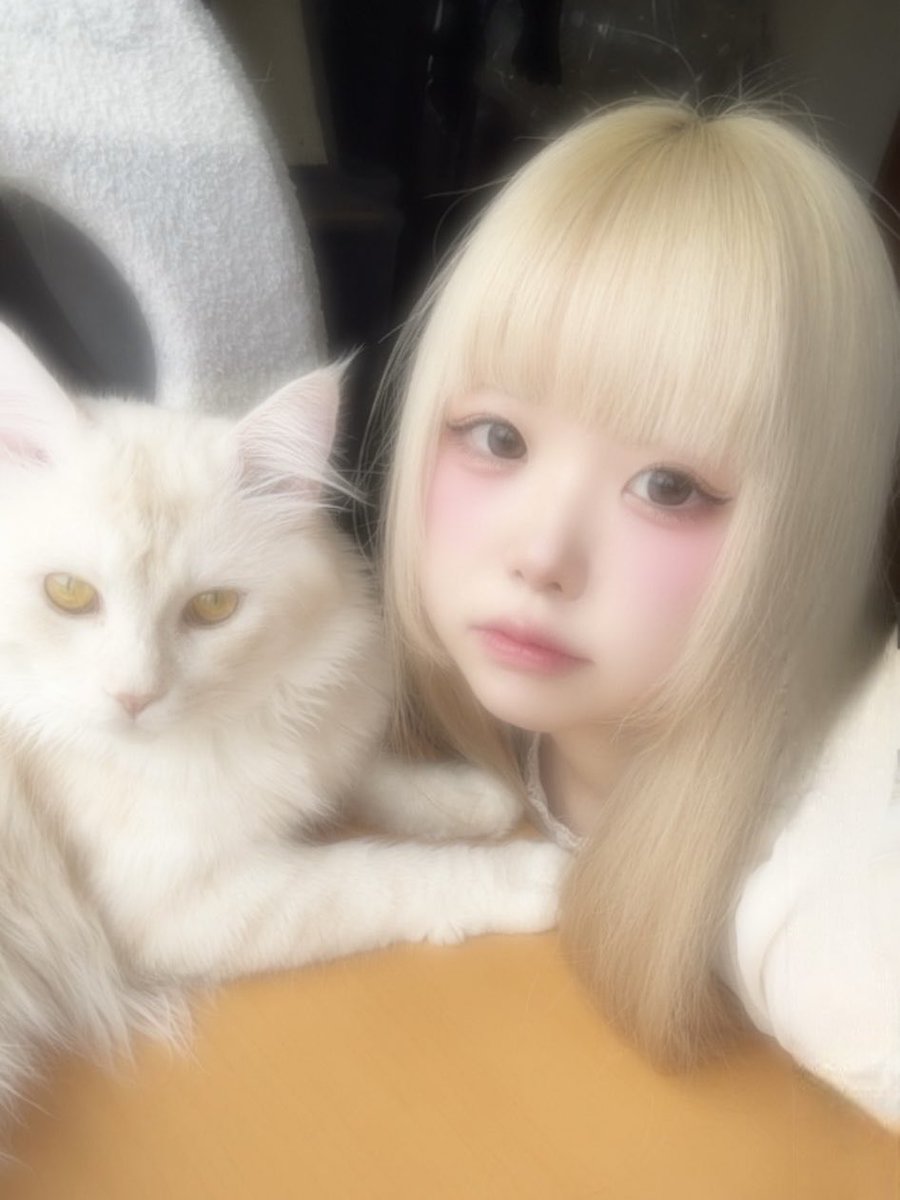 れいイケメン🐈2番目でいいなら結婚しようꈍ .̮ ꈍ