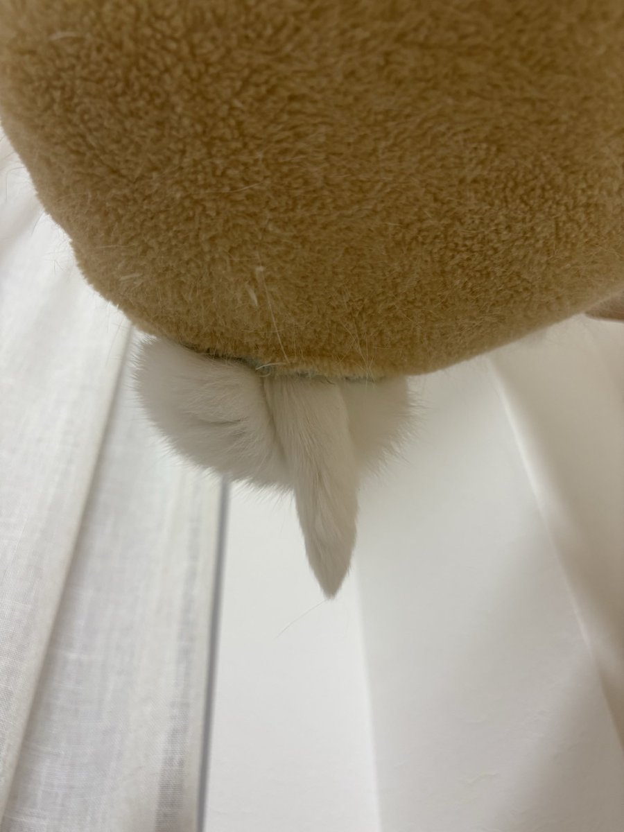 ヨウコです ※10月1日までお取り置きもできますᵕ̈* 8:00am Japan Time⏱️The weekend starts tomorrow. Even on