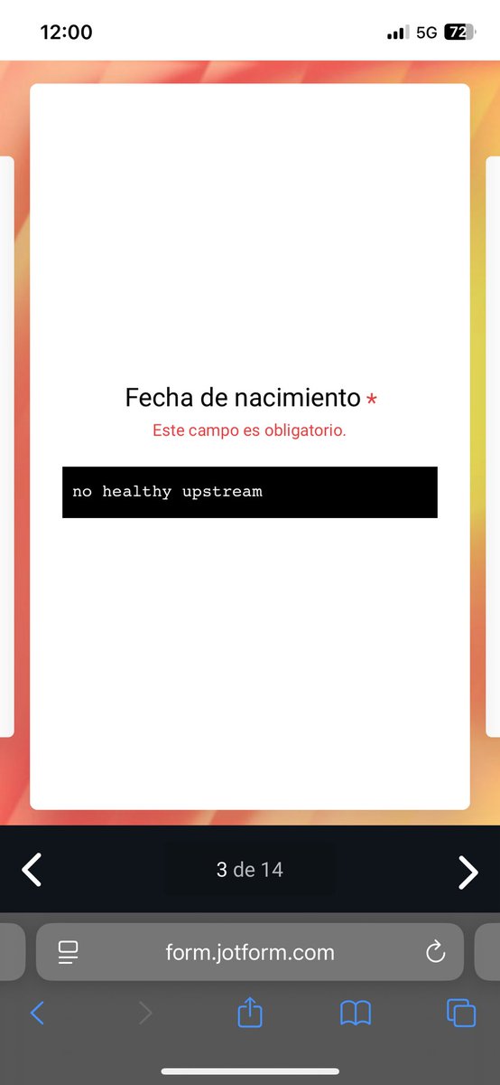 Alèxia Camó tweet media
