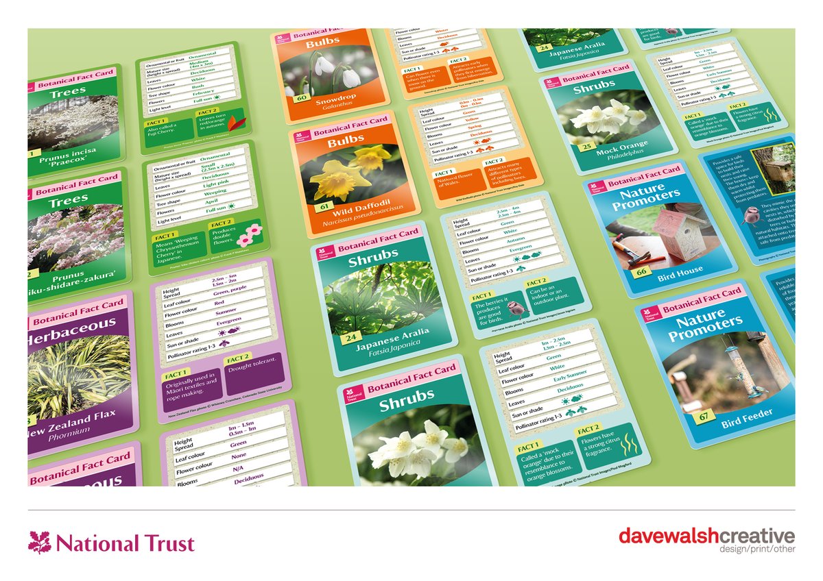 Delighted to have worked with <a href="/nationaltrust/">National Trust</a> on a series of botanical fact cards using a mixture of photography, illustration and design elements to bring out the vibrant #nationaltrust nature colour palette. #design #print