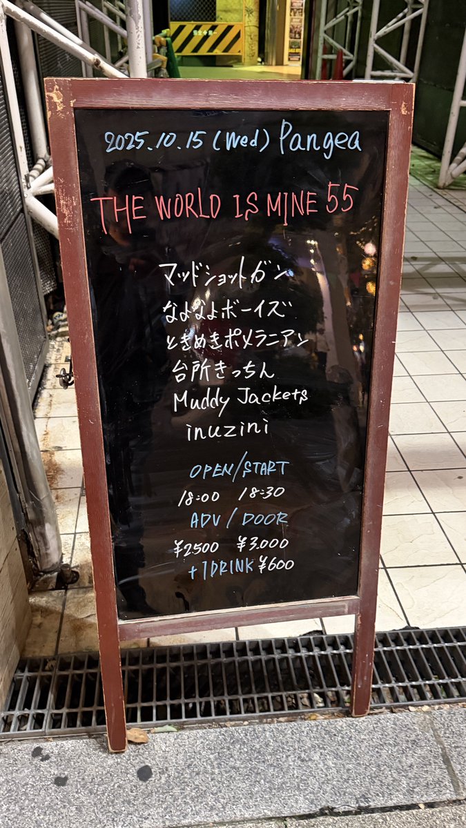 BURN2000's tweet photo. 今日はココ
#台所きっちん
#マッドショットガン
#なよなよボーイズ
#ときめきポメラニアン
#MuddyJackets
#inuzini https://t.co/8RxdcJSOlP