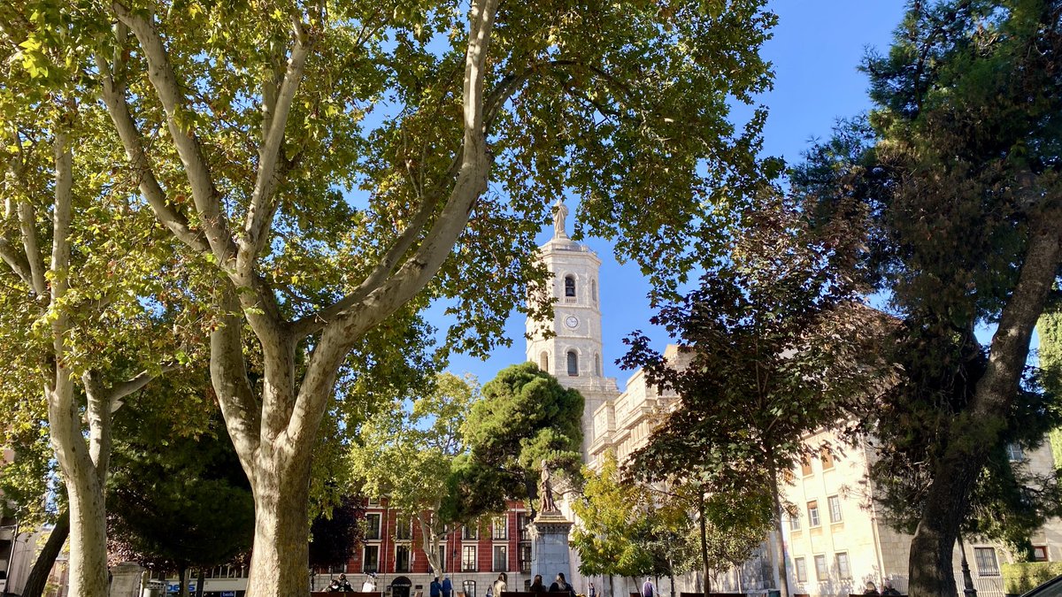 Jesús Pedro Rodríguez Herrero🌾🌻 tweet media