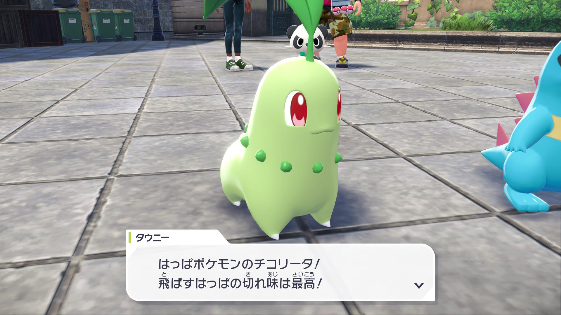 チコリータ - Search / X