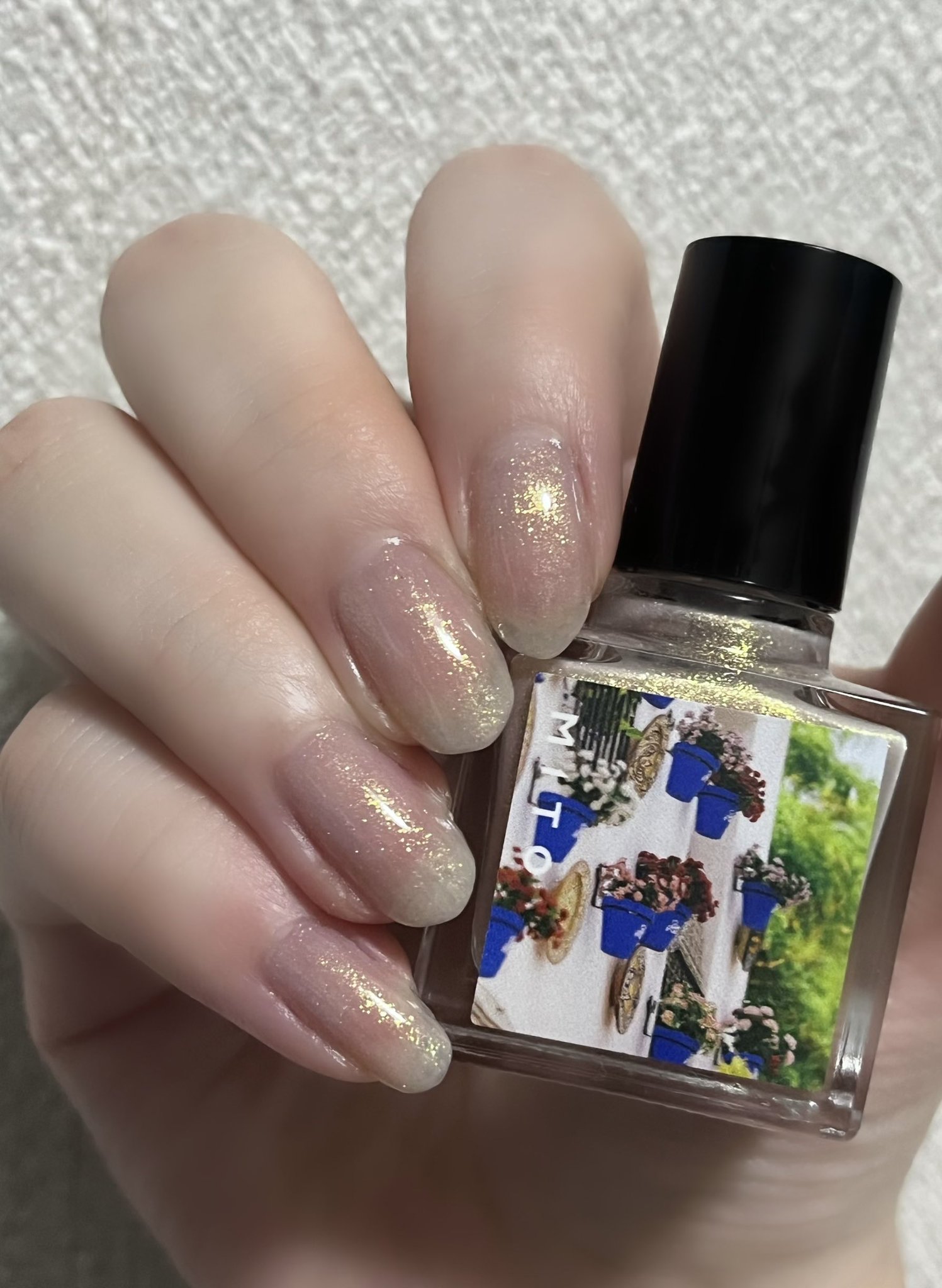 キラキラ⭐️　　花＆猫 翠玉 on X: 