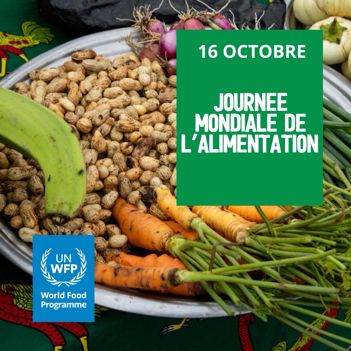 Rasmus Egendal (@wfp_car_cd) on Twitter photo 🤝 Gouvernements, agriculteurs, secteur privé, citoyens : #Unissonsnos forces pour des systèmes alimentaires sains, durables et accessibles à tous.🌾🌽PAM CAR #Faimzéro #JMA 🤝 Gouvernements, agriculteurs, secteur privé, citoyens : #Unissonsnos forces pour des systèmes alimentaires sains, durables et accessibles à tous.🌾🌽PAM CAR #Faimzéro #JMA