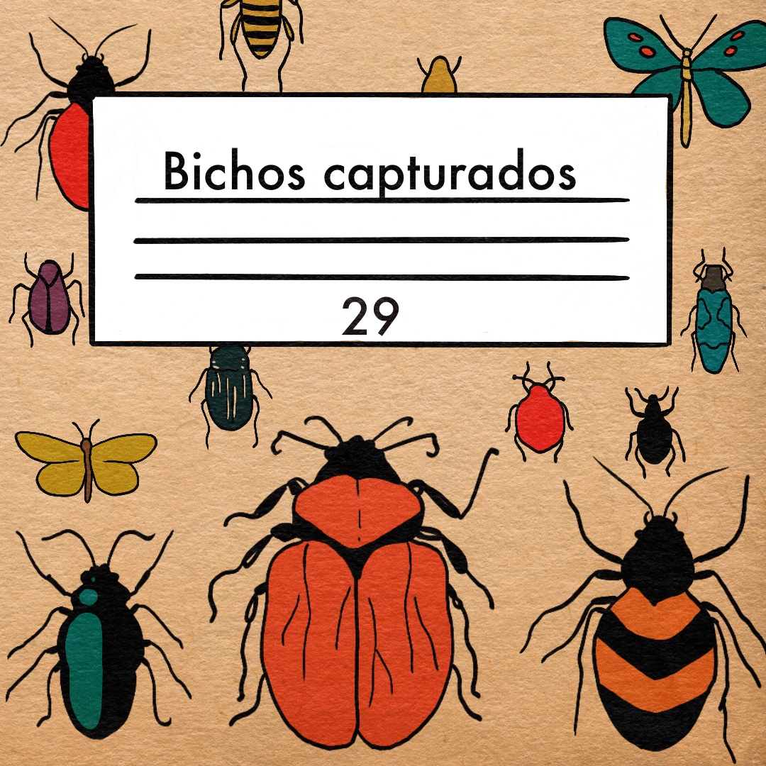 Anunciamos los resultados de nuestra convocatoria «Bichos».