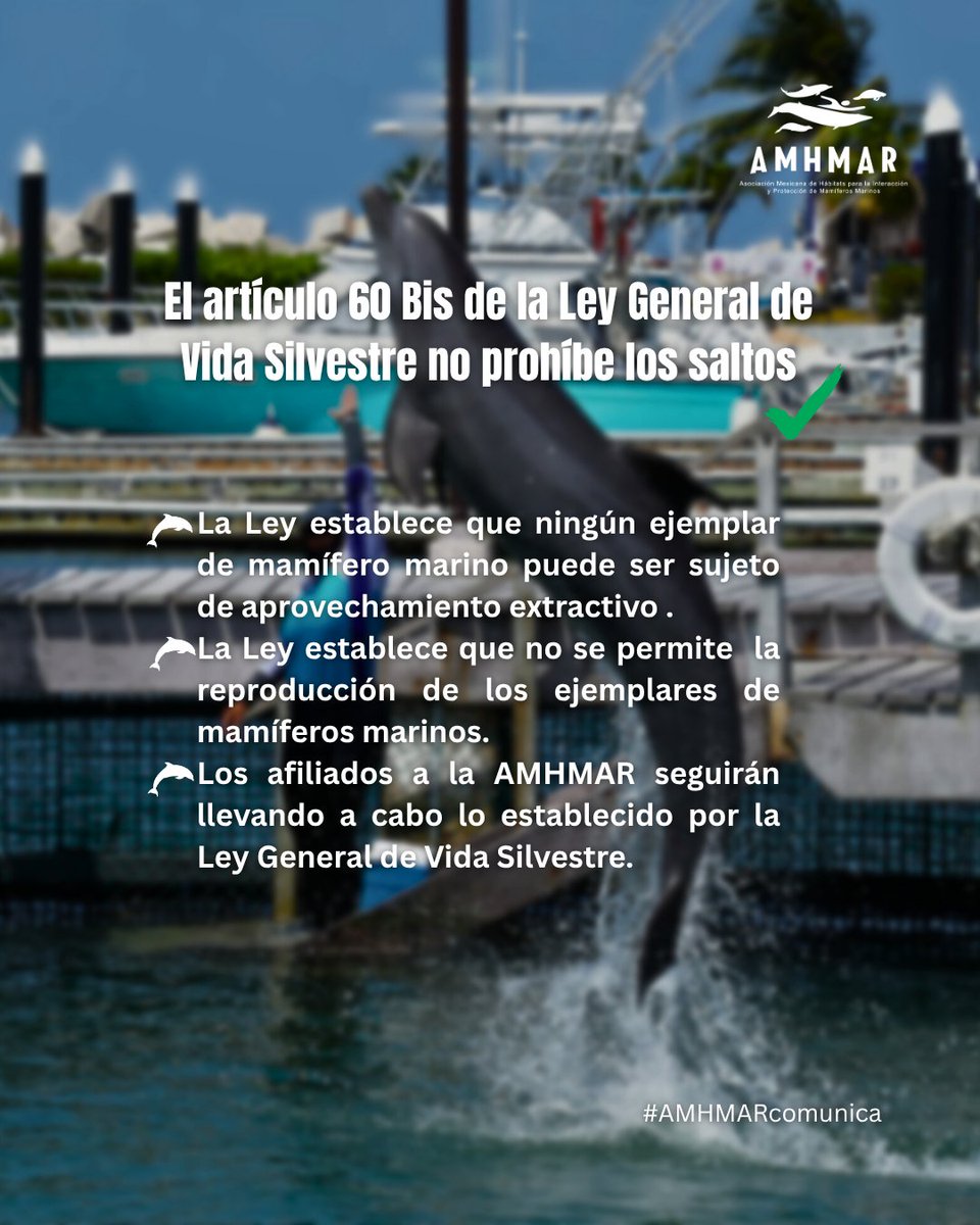 ¿Los delfines saltan sólo para nuestro entretenimiento?🐬✖️
Se espera que los delfines realicen saltos porque:
1⃣Es parte de su repertorio de conductas naturales
2⃣La Ley NO prohíbe que los delfines salten

NO permitirles saltar es NO permitir expresar su comportamiento natural.