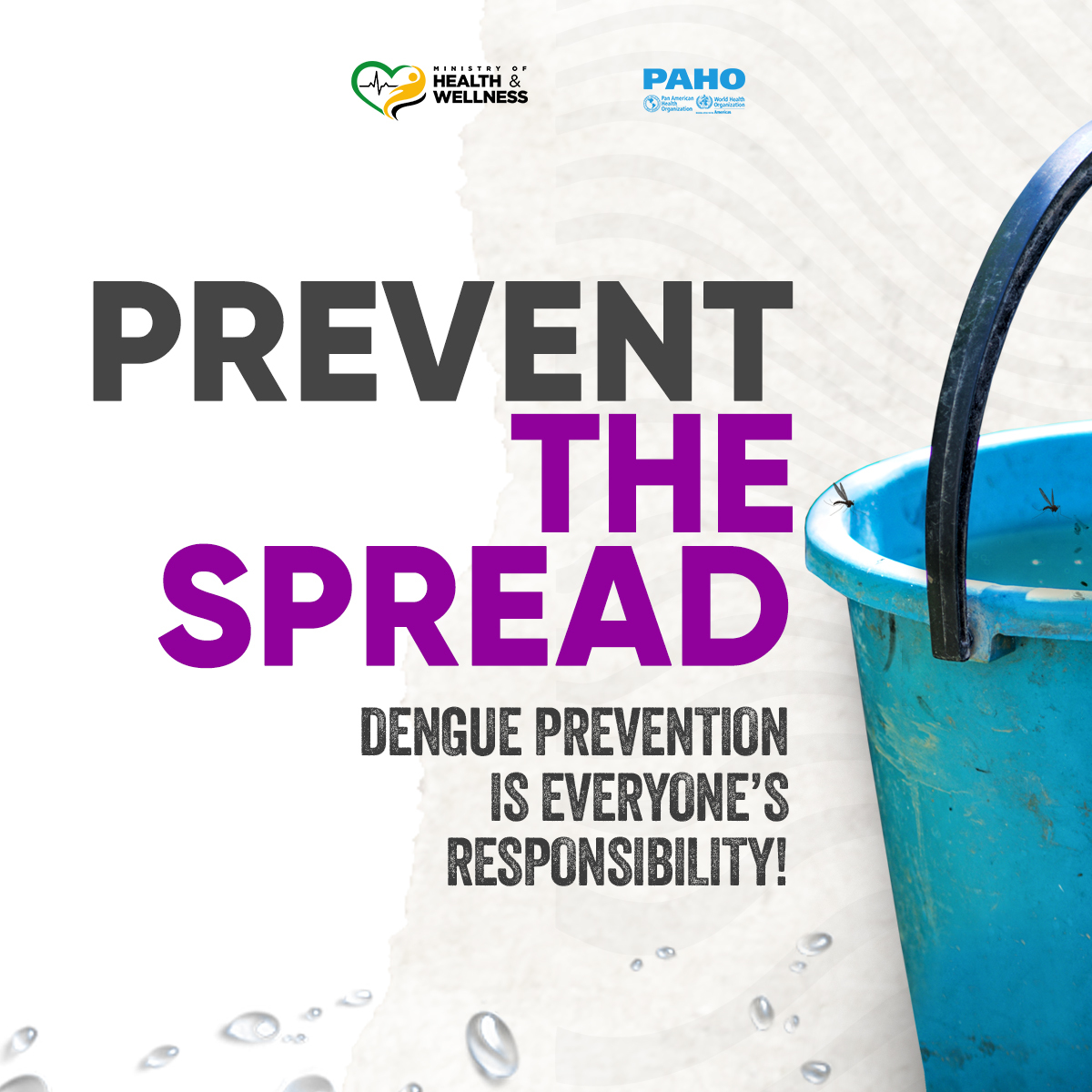 themohwgovjm's tweet image. Don’t let small containers cause big problems! 🦟

Mosquitoes breed in the tiniest puddles. Check, empty, and scrub containers every week.
#DenguePrevention #FightTheBite

(1/2)