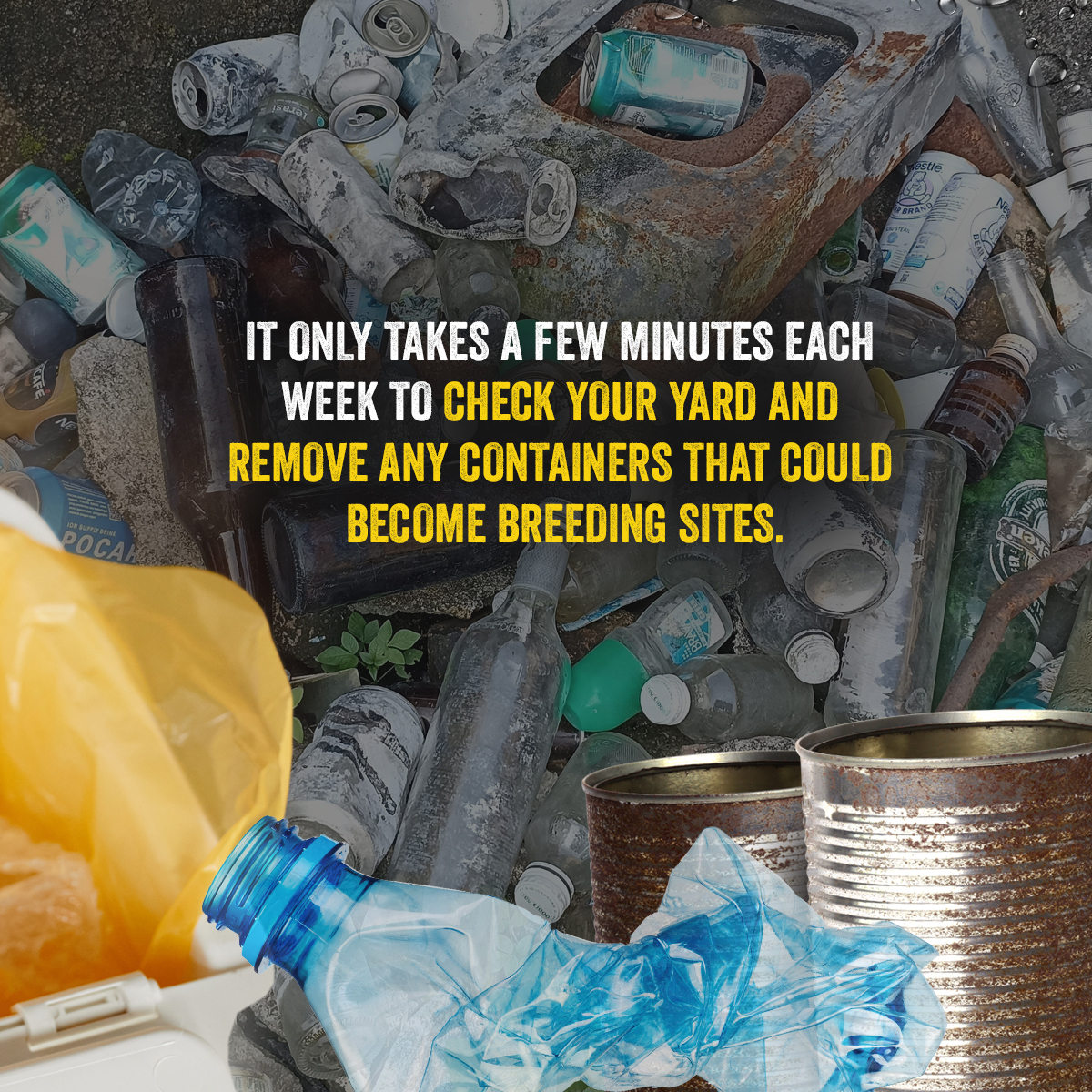 themohwgovjm's tweet image. Don’t let small containers cause big problems! 🦟

Mosquitoes breed in the tiniest puddles. Check, empty, and scrub containers every week.
#DenguePrevention #FightTheBite

(1/2)