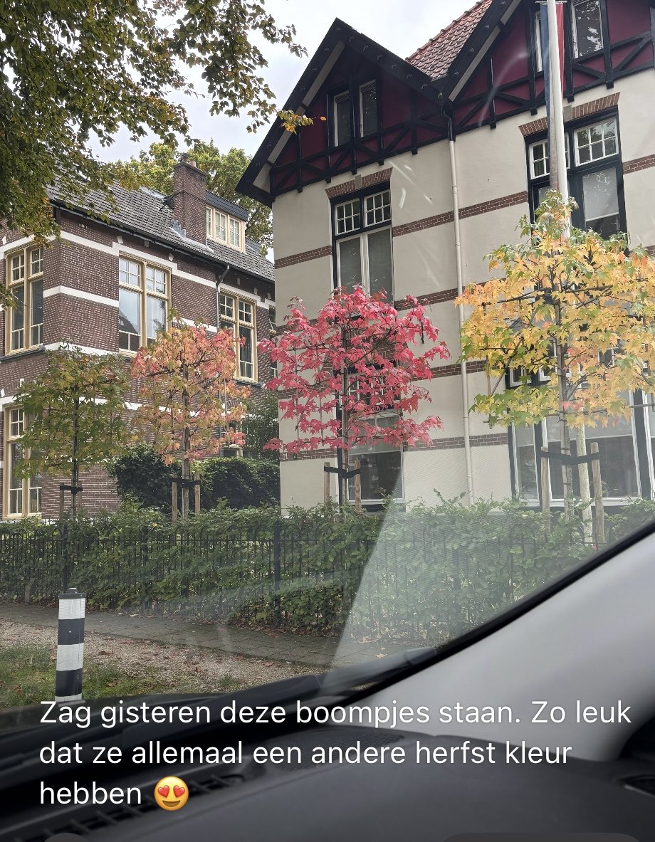 EzZijlstra's tweet image. Onze dochter stuurde me zojuist deze foto. Hoe mooi is dit? 
4 boompjes op een rijtje (doet me denken aan de 4 boompjes van schilder Egon Schiele) 
Weet niet precies de locatie, wel dat het in #Apeldoorn is.