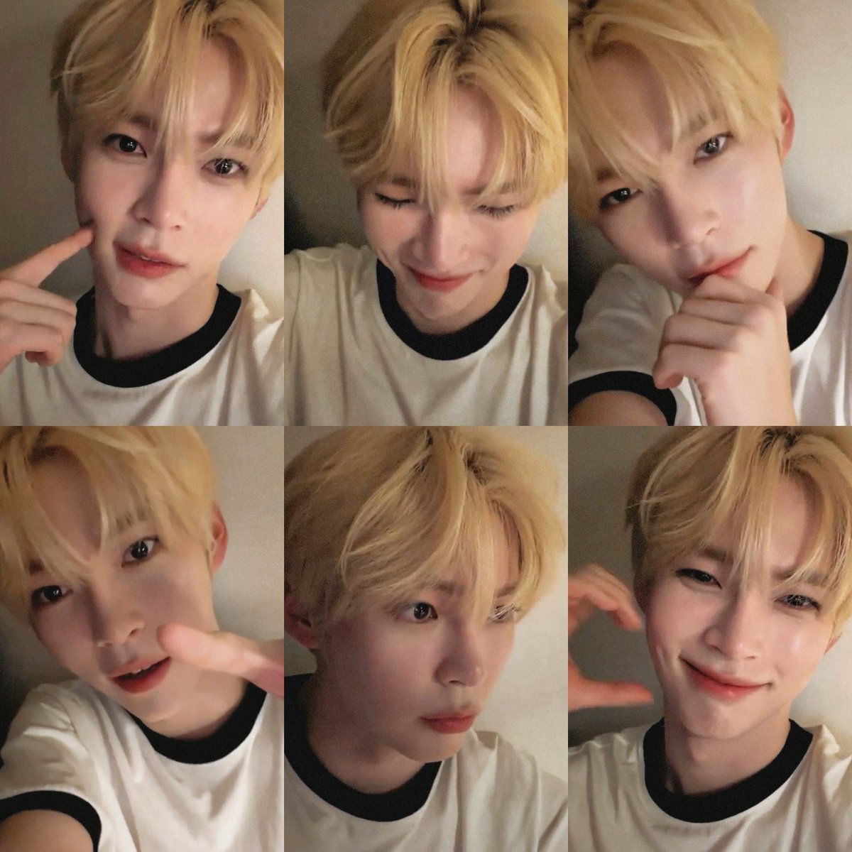 shbpics's tweet image. 