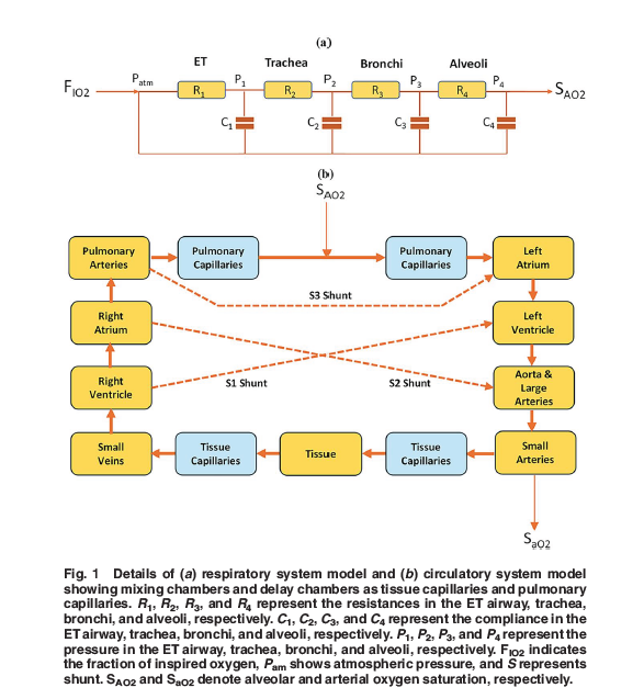 ASMEJournals's tweet image. The authors employed a simulation approach to model #oxygen delivery in spontaneously #breathing patients with chronic obstructive pulmonary disease. asmedigitalcollection.asme.org/biomechanical/…
#biomechanical