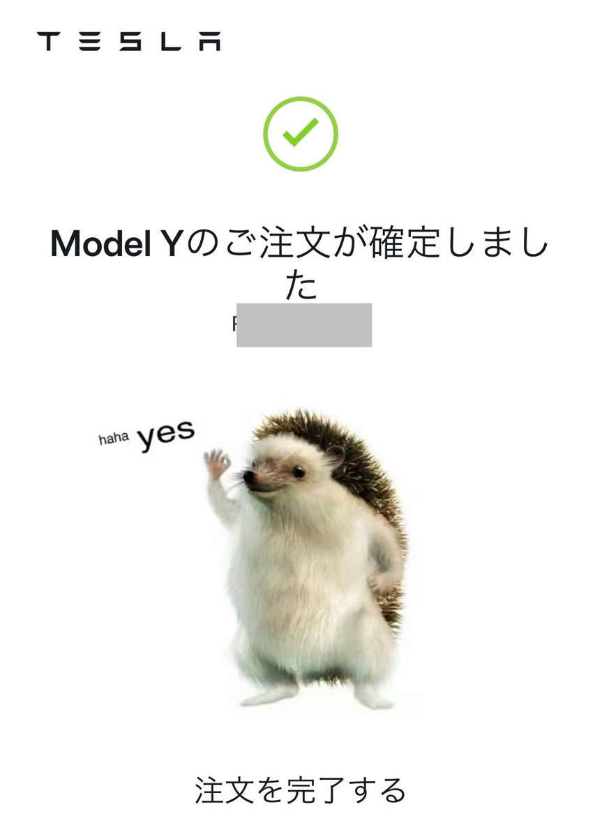 テスラの購入画面に出てくるハリネズミ、正体は