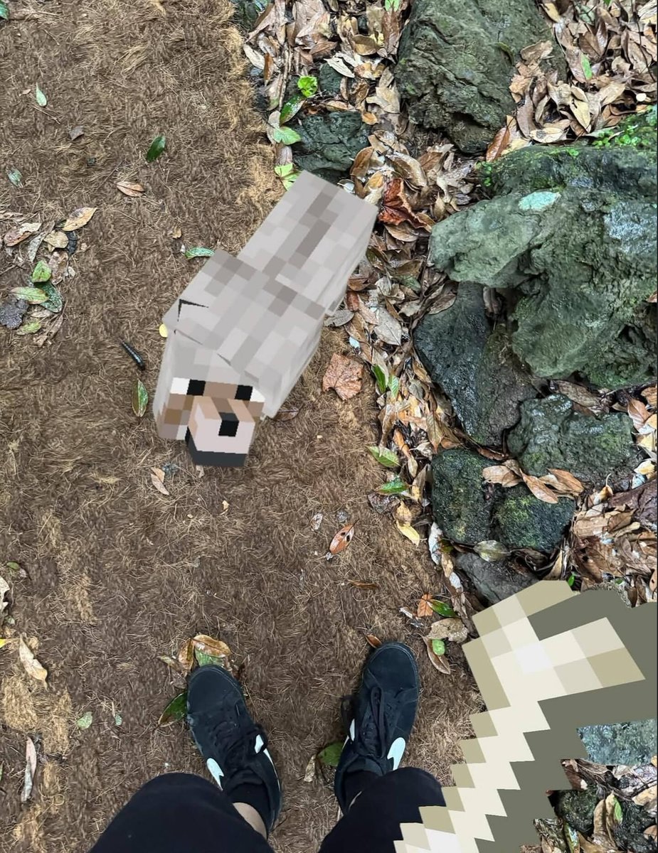 Enderman's tweet photo. https://t.co/mHikIdwVyU