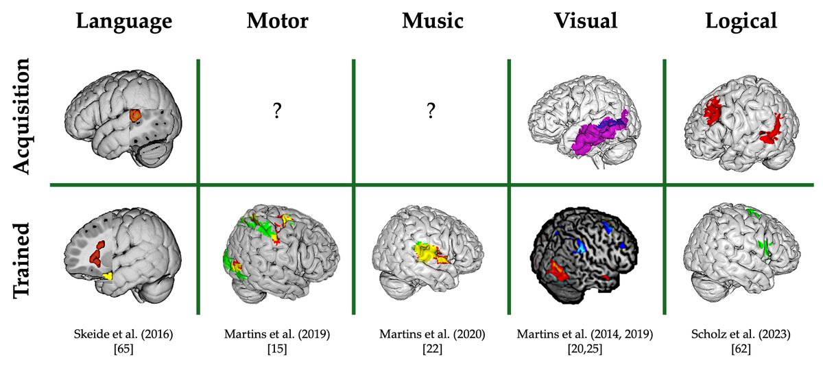 MauJDMartins's tweet image. 3/3 Across domains, a consistent pattern emerges:
🧠 Recursion draws on similar general scaffolds during acquisition.
🎯 With training, it specializes in domain-specific circuits.
#cogsci #cogneuro #Recursion #neuroscience