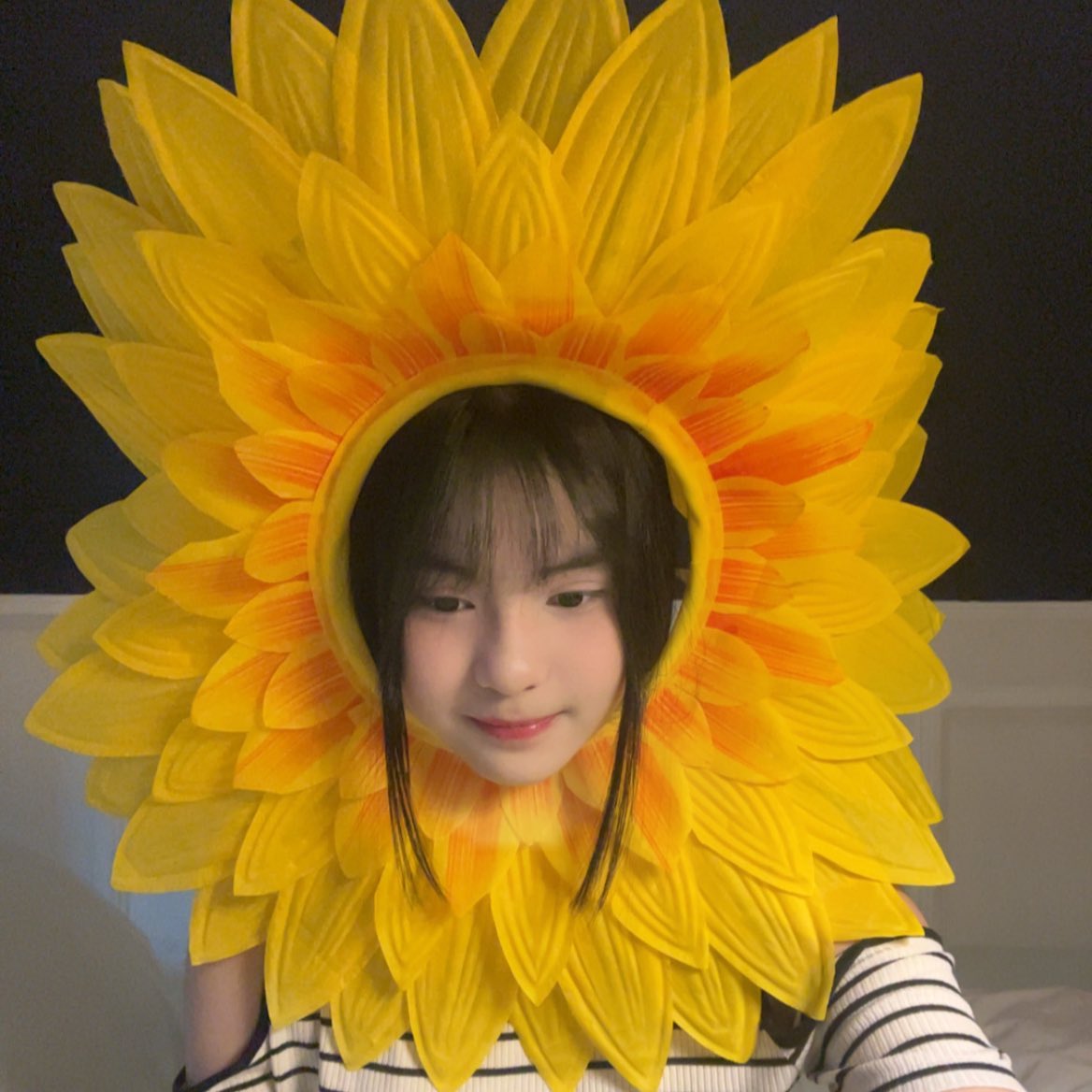 🌻 : kakak suka bunga matahari ga?
👦🏻 : suka dongg

Bunga matahari yang dimaksud 👇🏻