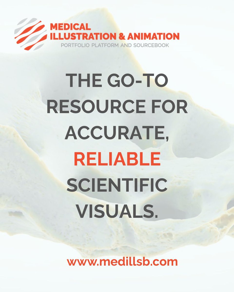 Medillustrates's tweet image. Accurate. Reliable. Scientific. 🔬 
Your go-to resource for trusted medical visuals.
Discover more: medillsb.com
🖼️ Image by the talented @anatomyblue team of the "Sacrum."
#medicalillustration #medicalanimation #scientificvisualization #visualcommunication