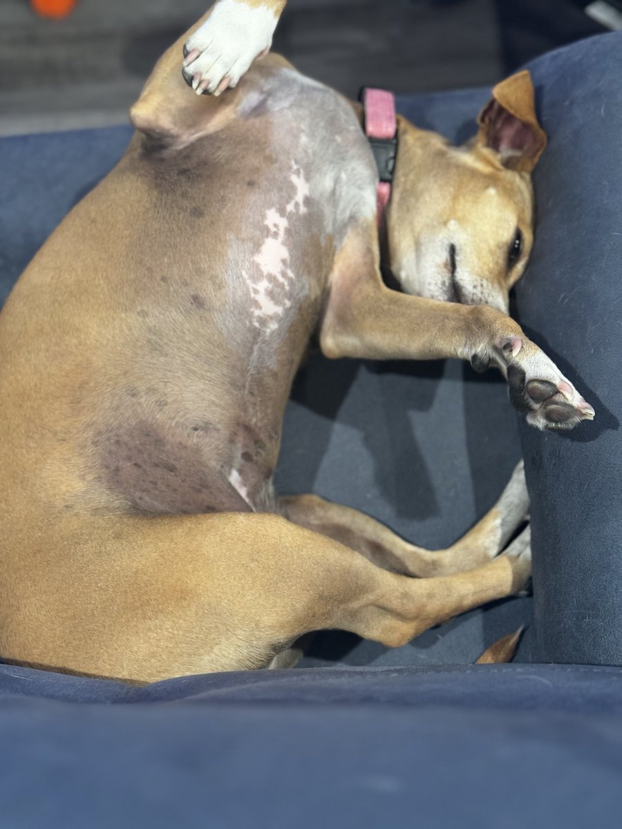 Chris42183 tweet media