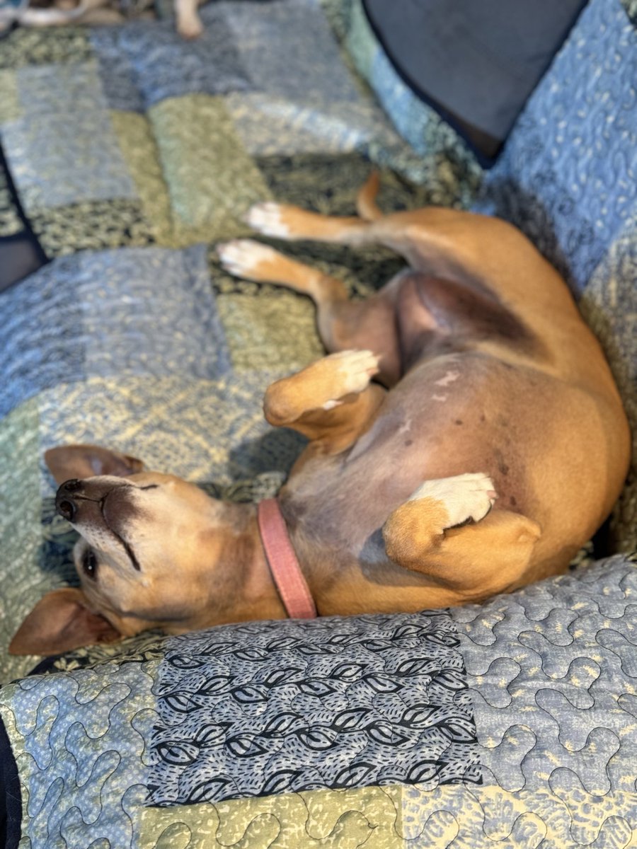 Chris42183 tweet media