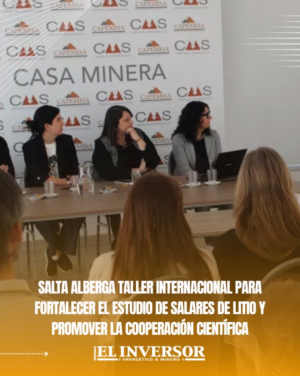 🔬 Taller internacional en Salta reúne a expertos de Argentina, Italia, Chile y España para fortalecer el estudio de salares de litio

🔗
elinversorenergetico.com/salta-alberga-…

#Litio #Investigación #Minería #CooperaciónInternacional #Salta #Ciencia #RegiónAndina