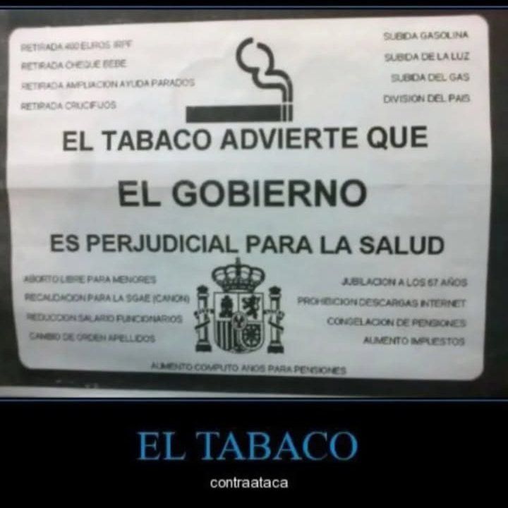 chincheto pirata somali (@wikipistacho) on Twitter photo 