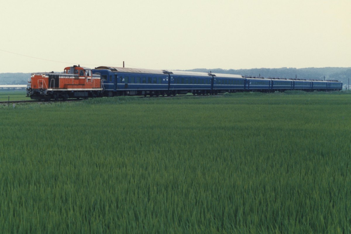 ポンの助ポン太郎 (@ggBetCH2up66784) / Posts / X