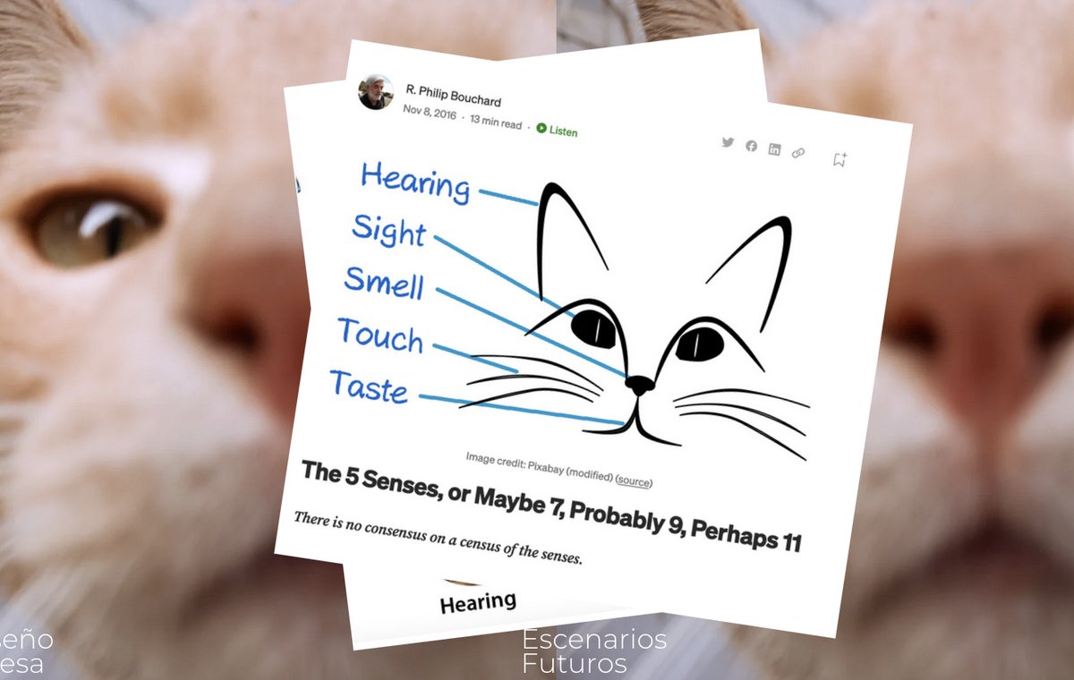 Ultimamente hemos leído infinidad de papers, artículos, notas periodísticos y libros de valor inusual. Ninguno nos conmovió tanto como el mas reciente de Ed Yong liminalcreations.com (autor del previo Yo contengo multitudes). Umwelt is the name of the game <a href="/EscenariosUdeSA/">Escenarios Futuros UdeSA</a>