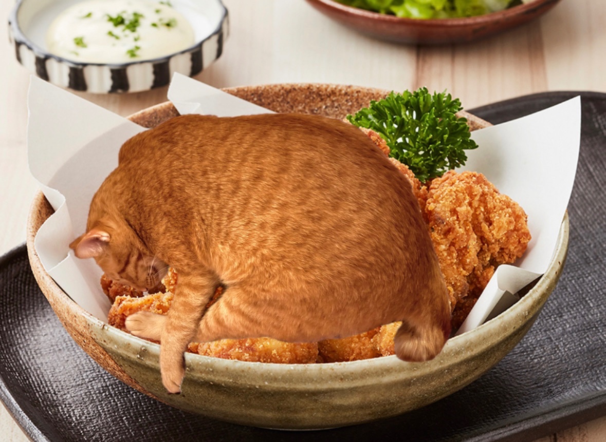 bigcatfactory's tweet image.