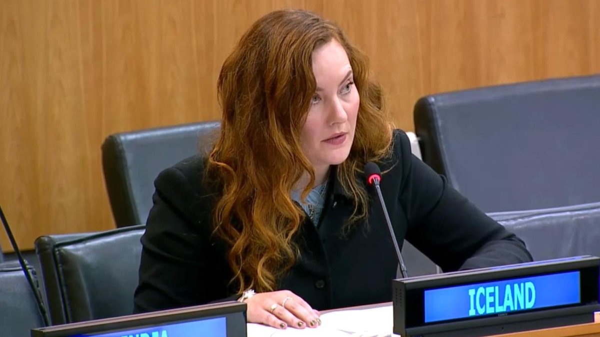 Iceland remains committed to the #2030Agenda. This includes setting ambitious national targets for climate action.

Climate Action is also central to Iceland's international development cooperation🌊🌱☀️♀️  #SDGs 

#2C debate on sustainable development➡️bit.ly/4onODk8