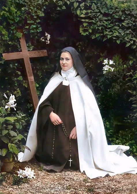 “How happy I am to see myself as imperfect and to be in need of God’s mercy.” 

Saint Therese of Lisieux