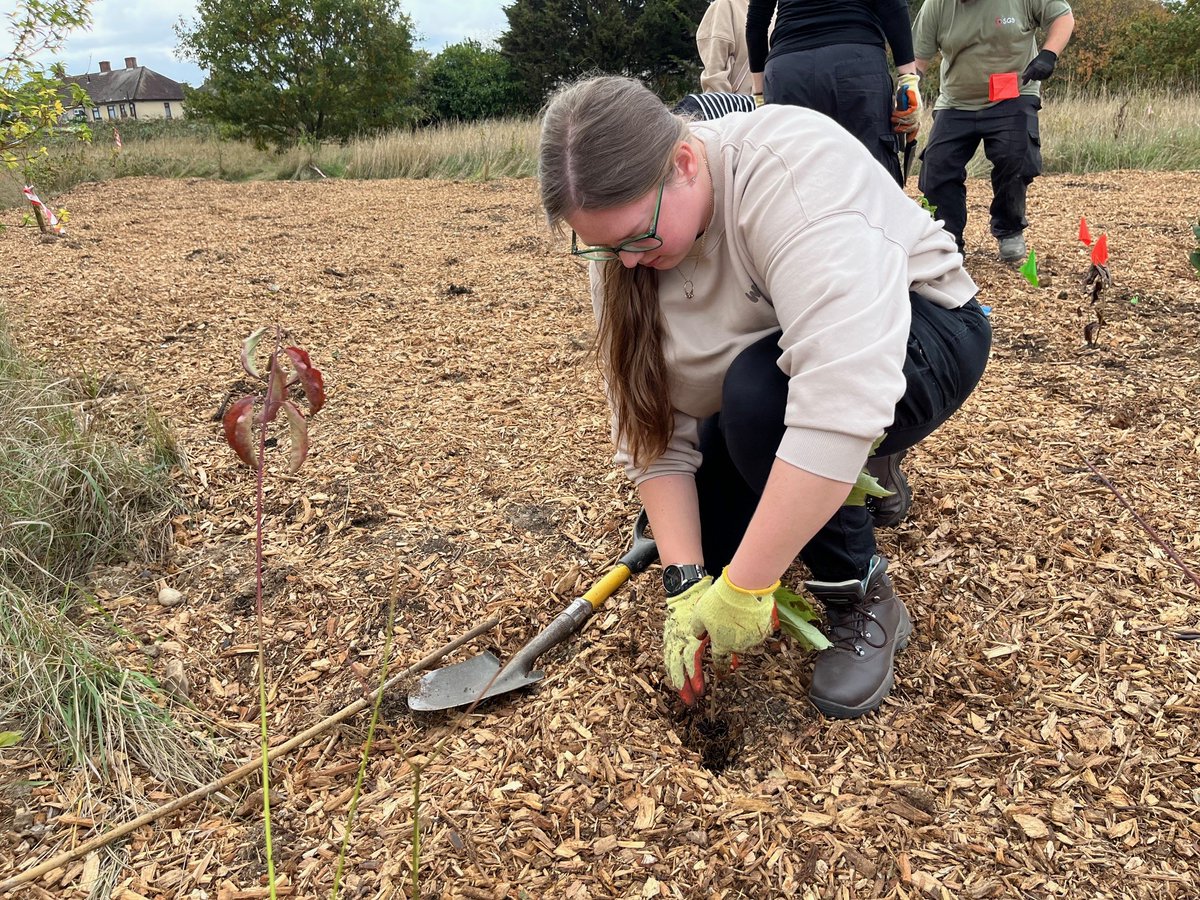 Our brilliant volunteers, led by <a href="/BDParkRangers/">Barking & Dagenham Park Rangers</a> have rolled up their sleeved to plant over 12,000 trees at Eastbrookend Country Park.🌳 

This will help reduce flood risks, cut carbon emissions &amp; promote healthier living. A HUGE thank you to everyone involved 👏🏽👏🏽 

<a href="/CllrAshraf/">Cllr Saima Ashraf</a>