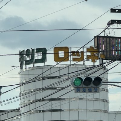 アルビノ♀ゴリラ【公式】 (@hoigorirou) / Posts / X