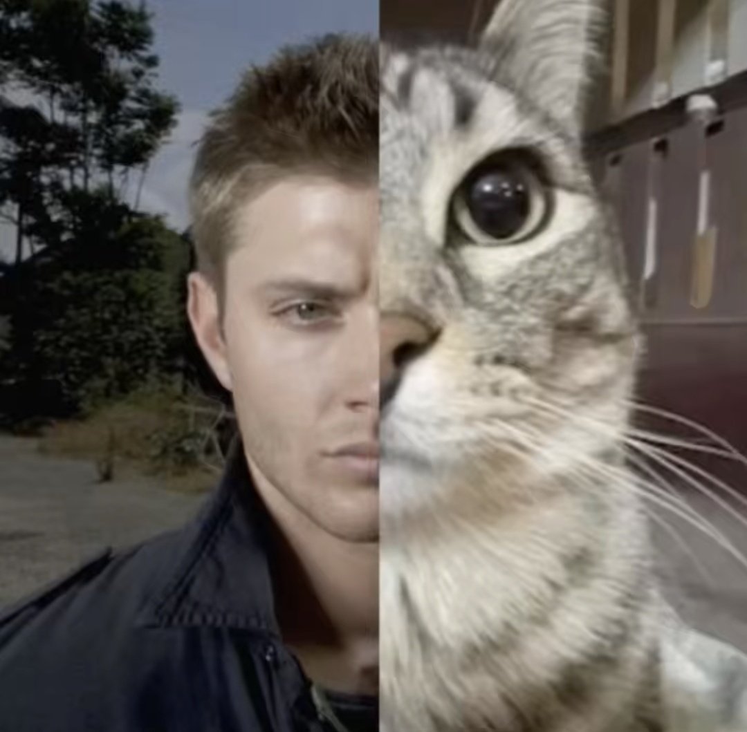 Eski bi seyi???(sey denir mi bilmiom jisi ani neyse) hatırlayinca gorunce midem bulaniosa kuscak gibi oluyosam tiksinio muyumdur anksiyetesel bisi midir anlamya calisiom sy ab