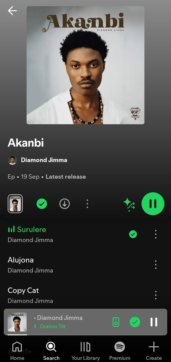 Una no quick tell me say Diamond Jimma dey cook better meal like this 🍽️ 🔥

Ep soooooo refreshing ▶️🎶