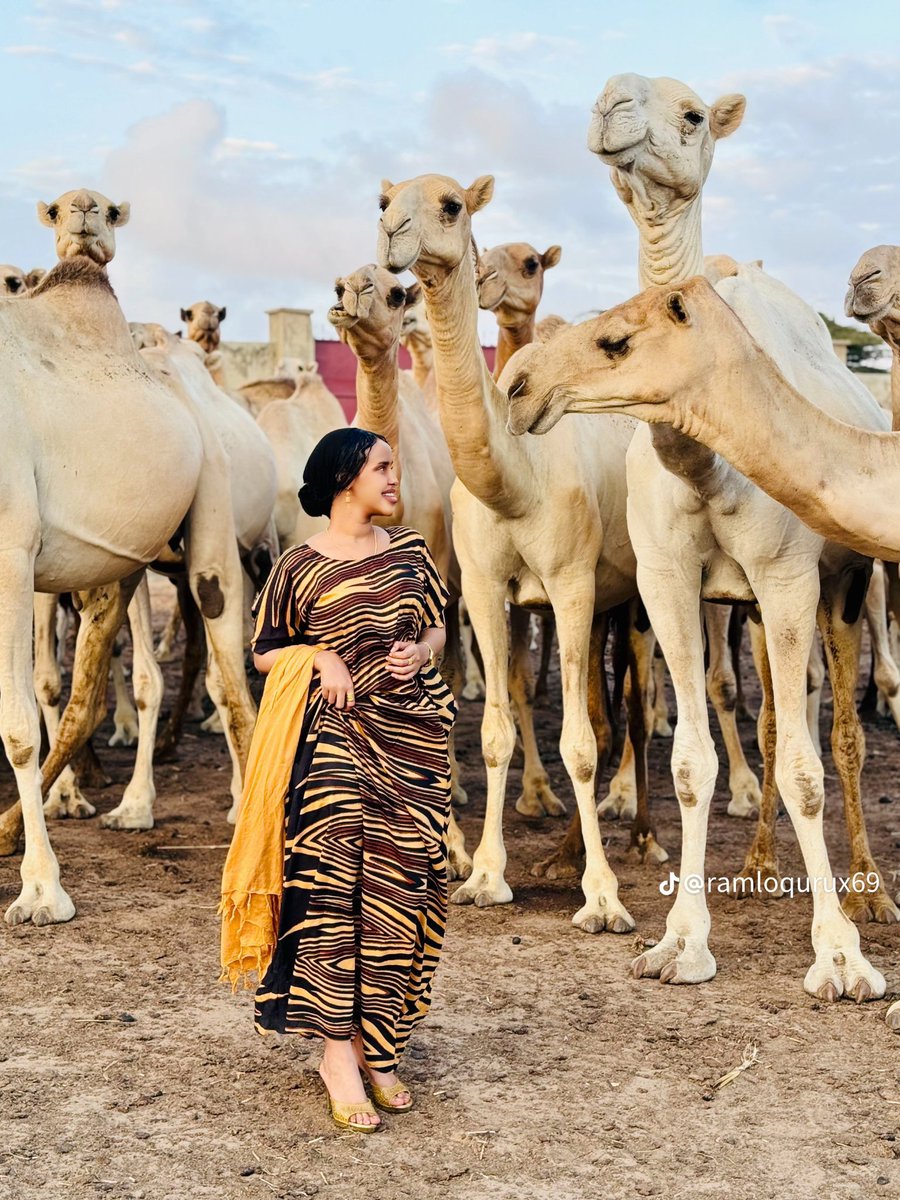 ridgulle's tweet image. Picture of the year ✅️