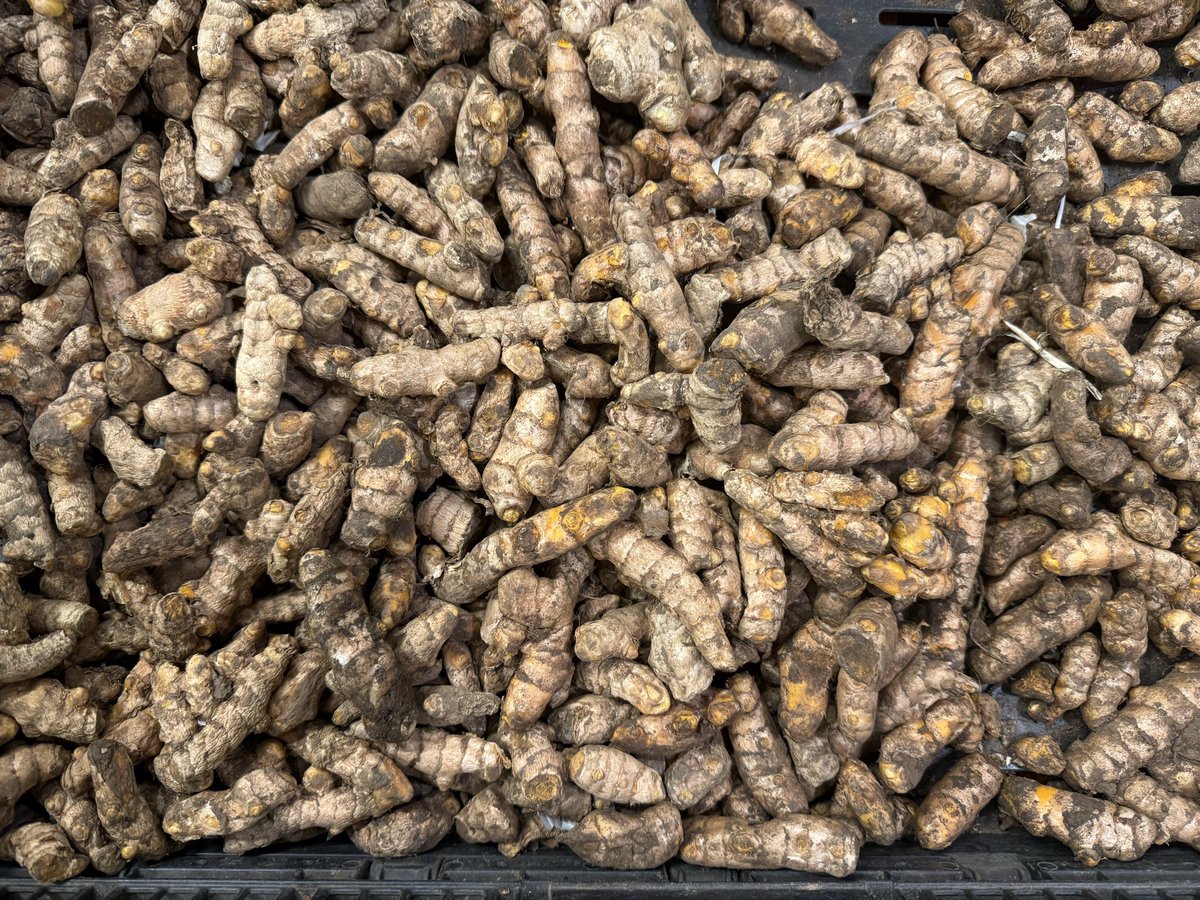 Somoina Kapeen tweet media