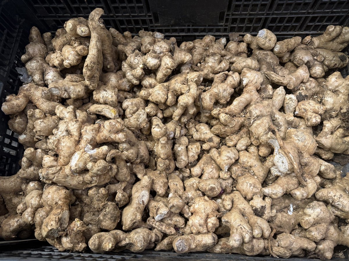 Somoina Kapeen tweet media