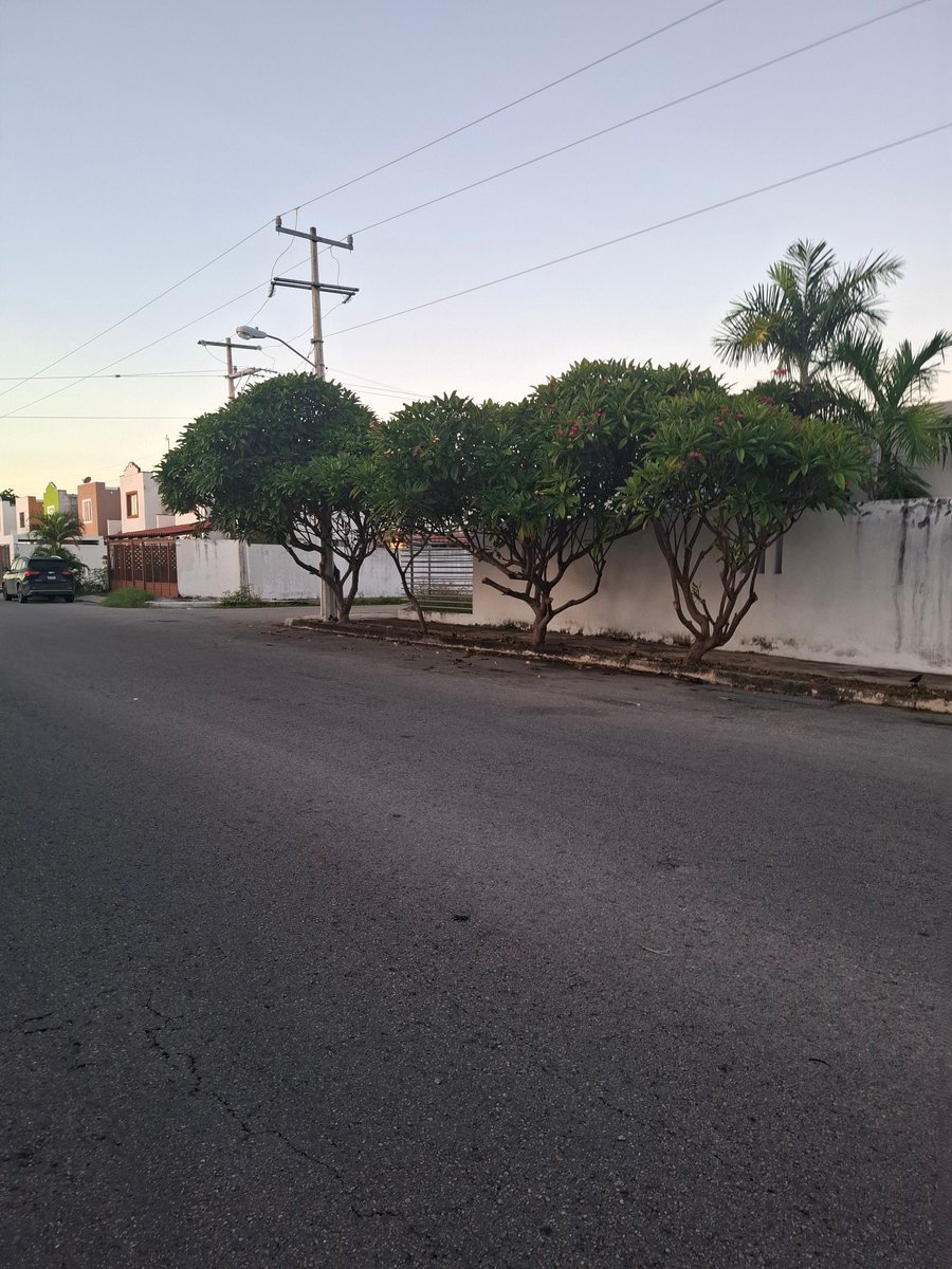 YUCATANALL tweet media