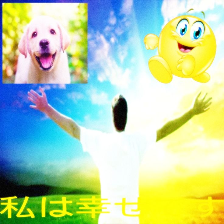 jackosob's tweet image. this image came to me in a dream .