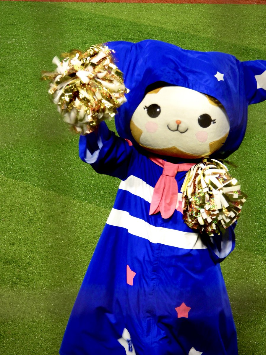 hcpppi's tweet image. 全力応援
#キララ
#baystars