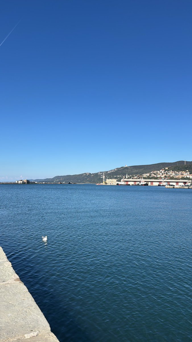 sovftlouis's tweet photo. ciao oggi sono stata a Trieste per vedere una delle mie possibili università !!!! https://t.co/UW1bDkUa2J
