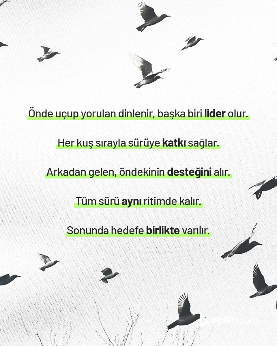 egitim_com's tweet image. Kuş sürülerinin neden “V” şeklinde uçtuğunu daha önce düşündün mü?

🕊️ Birlikte uçmak, daha az yorulmak ve hedefe ulaşmak için en iyi yol. ✨

#BilgiKöşesi #Egitimcom #TakımOyunu #Eğitim #Kuşlar #CanlılarDünyası