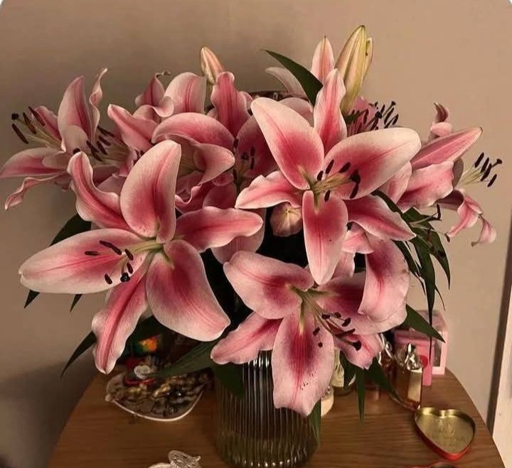 itzsamia_'s tweet image. Forever obsessed with flowers ✨♥️🥀