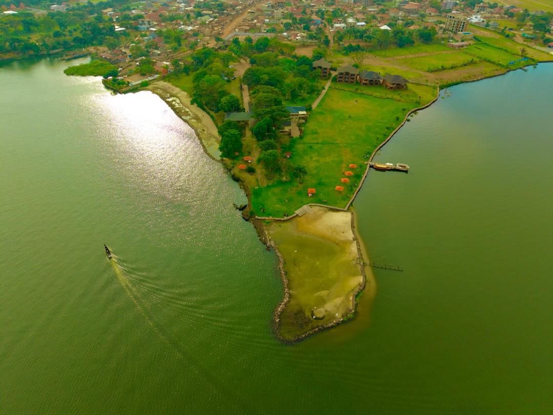 KISOBA LEAGUE tweet media