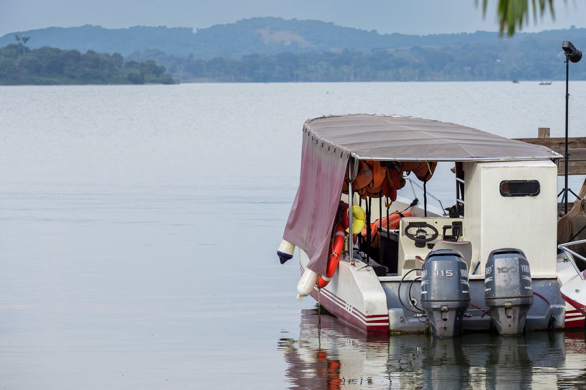 KISOBA LEAGUE tweet media