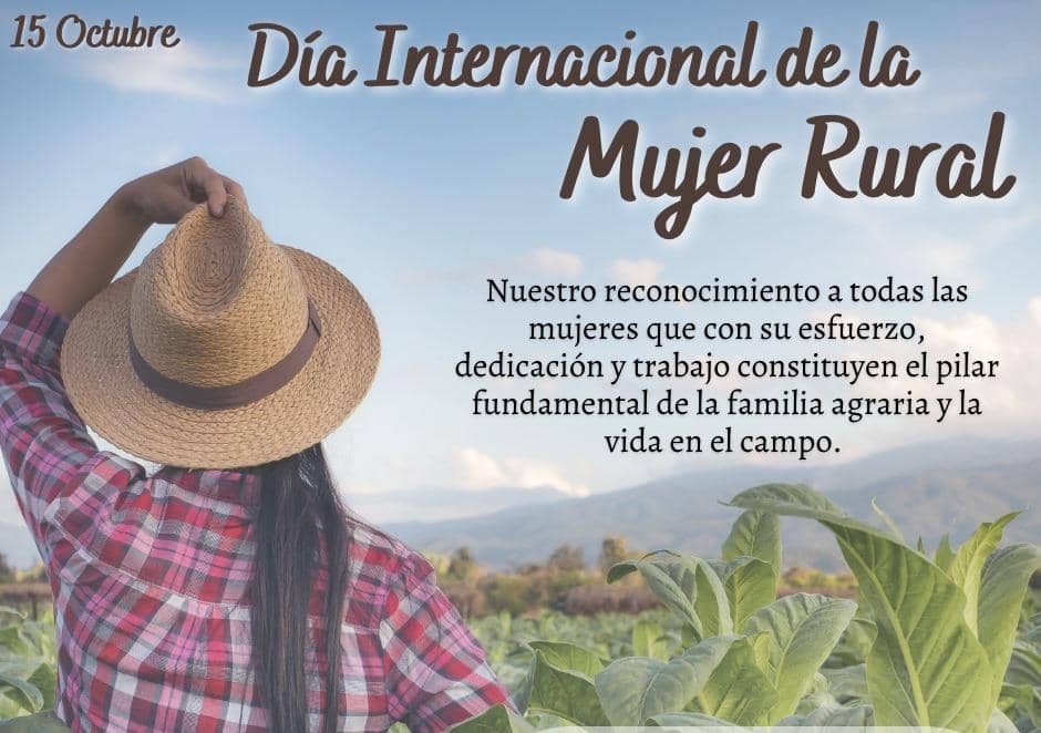 Mildrey Soca (@mildreyih) on Twitter photo 