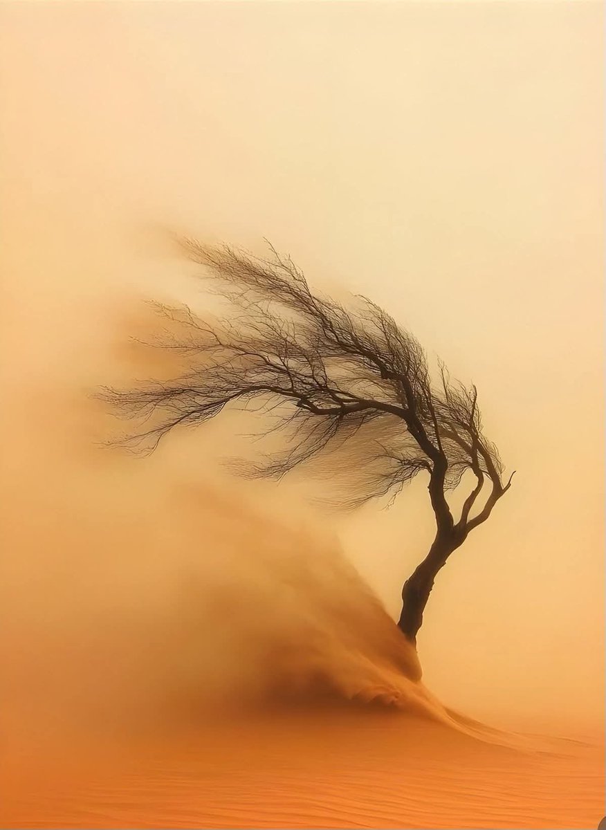 ~ پانچواں موسم  🍂

وہ موسم جو کسی کیلنڈر پہ نہیں آتا، بس  ہمارے اندر  چلتا رہتا ہے 

جہاں کبھی برف پگھلتی ہے اور  کبھی ریت کے طوفان چلتے ہیں  
 
 کبھی کبھار یہ موسم اور یہ وقت  ہمارے اندر صدیوں کے لیے رک سا جاتا ہے 

شاید یہ وہ موسم ہے جب انسان خود سے پہلی بار سچ بولتا ہے

یا جب